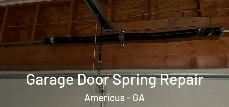  Garage Door Spring Repair Americus - GA