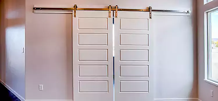 Glass Barn Door with Installation Hardware Kit Americus